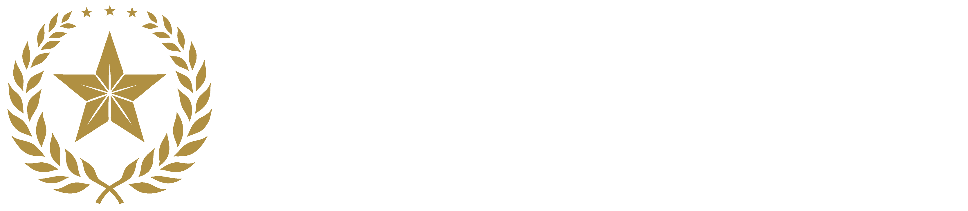 Harris County District Attorney's Office Logo