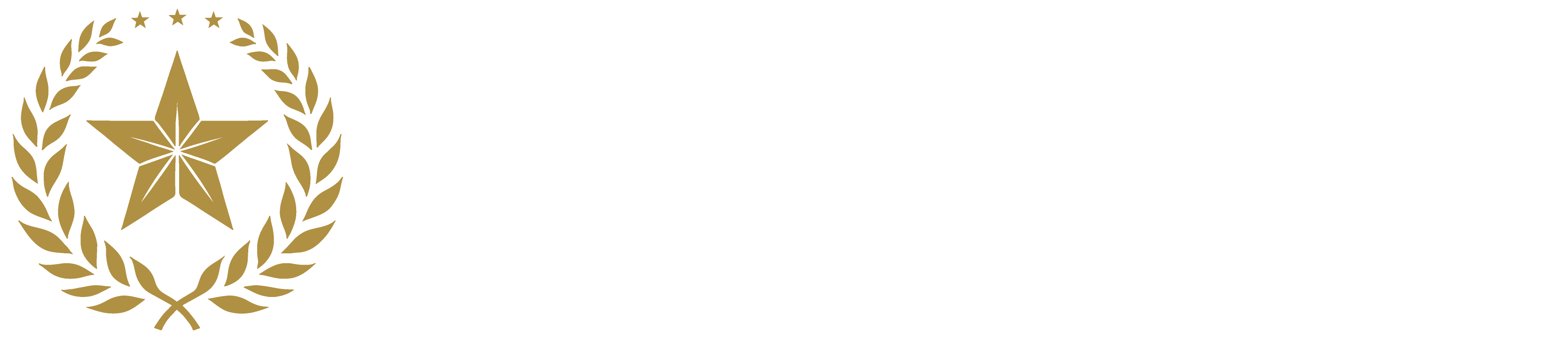 Harris County District Attorney's Office Logo